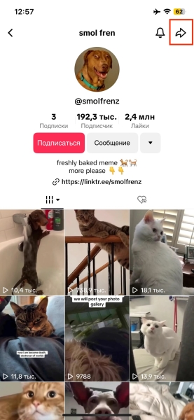 Как заблокировать человека в TikTok